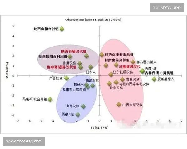 法甲联赛非洲杯球员表现分析及其对球队影响的深度探讨 法甲联赛非洲杯球员表现分析及其对球队影响的深度探讨